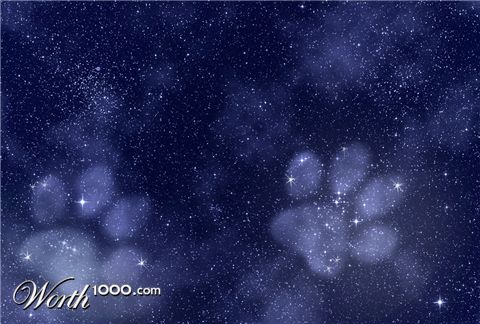 Photoshop Design by spiderkitten