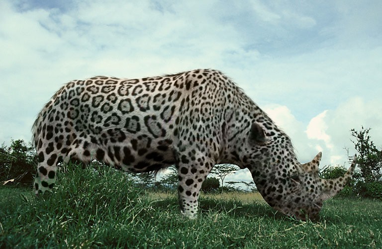 Design Photoshop par godzillatemple pour DesignCrowd (Community Contests) | Design #9068300