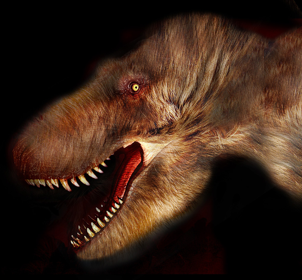 Photoshop Design by exorcist for DesignCrowd (Community Contests) | Design #9068459