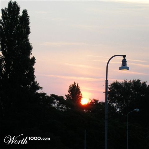 Photography by Icie99