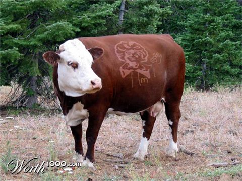 Photoshop Design by goodlookintuffguy