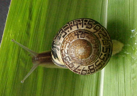 Photoshop-Design von spiraleye für DesignCrowd (Community Contests) | Design #9068442