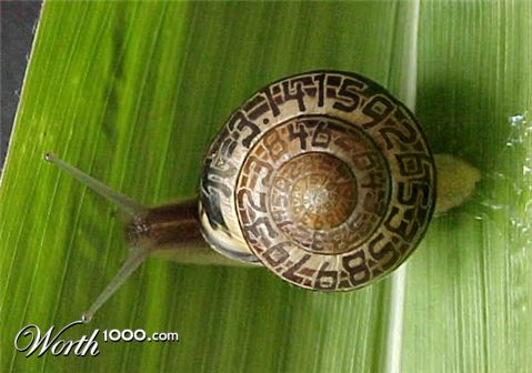 Photoshop Design by spiraleye