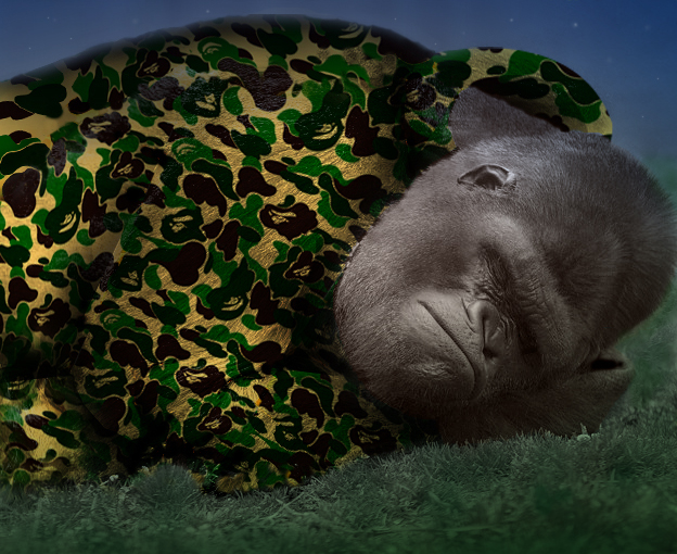 Photoshop Design by DreadDormammu for DesignCrowd (Community Contests) | Design #9068544