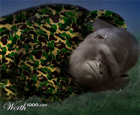 Photoshop Design by DreadDormammu