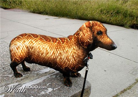 Photoshop Design by sabrnig