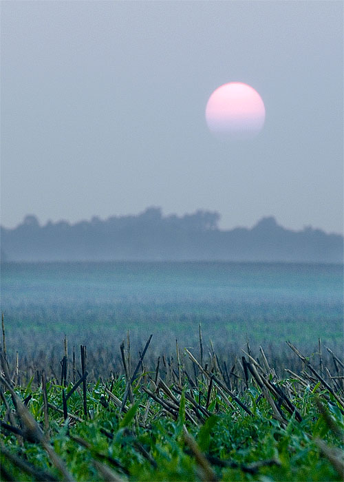 Photography by rennan for DesignCrowd (Community Contests) | Design #9060531