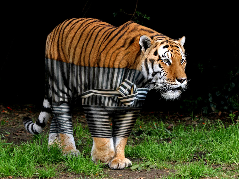 Photoshop Design by EyEars for DesignCrowd (Community Contests) | Design #9068473