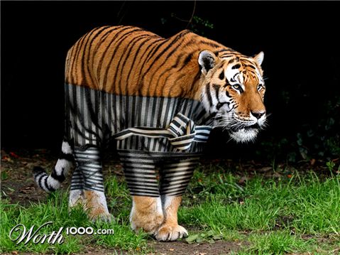 Photoshop Design by EyEars