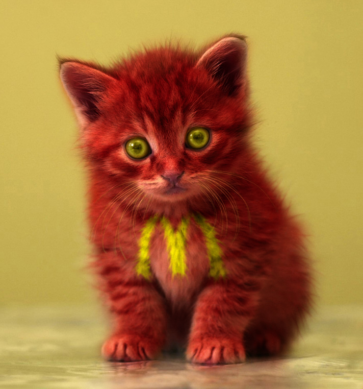 Photoshop Design by A1A1L1O1A1A1M2 for DesignCrowd (Community Contests) | Design #9068580