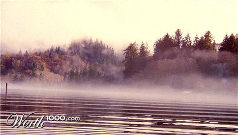 Photography by tigercrosse
