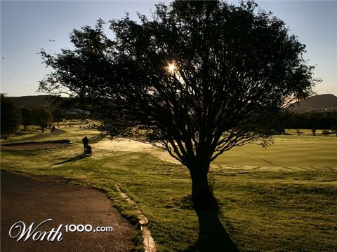 Photography by KarenC