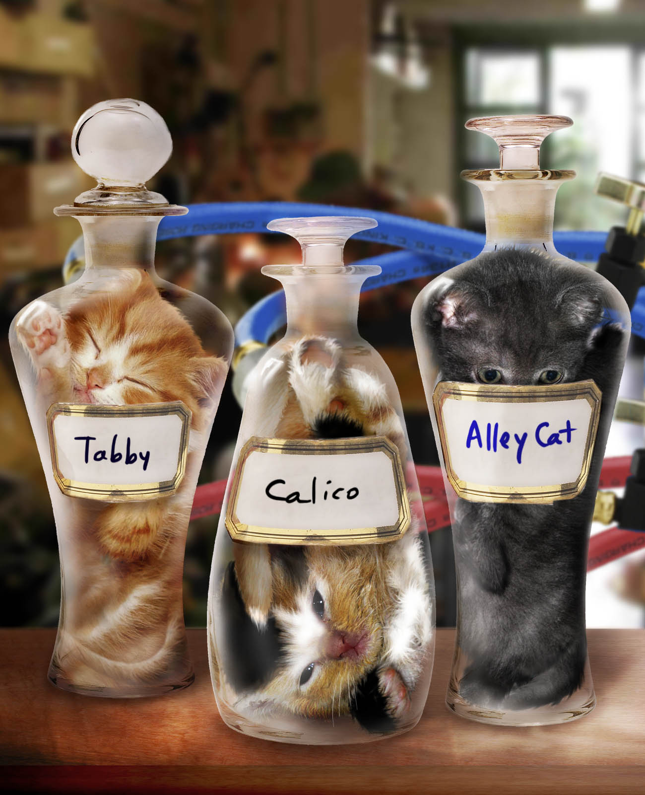 Photoshop-Design von Penbender für DesignCrowd (Community Contests) | Design #9049211