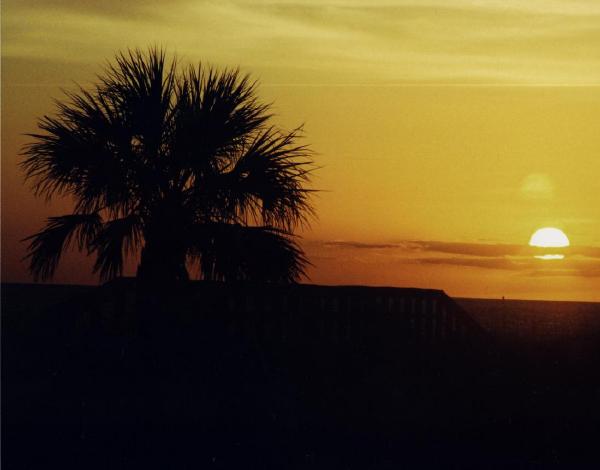 Fotografie von tgimages für DesignCrowd (Community Contests) | Design #9060581