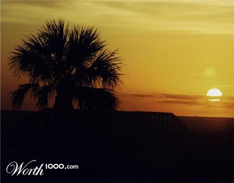 Photography by tgimages