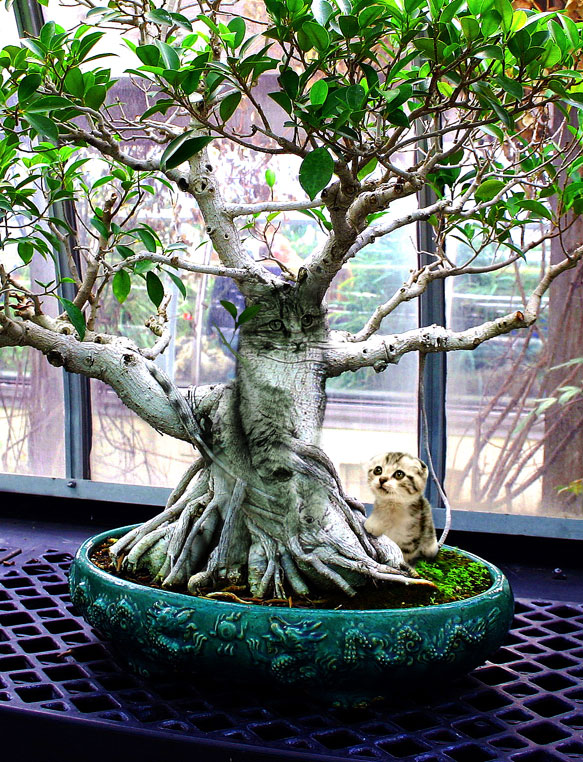 Photoshop Design by martysalgs for DesignCrowd (Community Contests) | Design #9049351