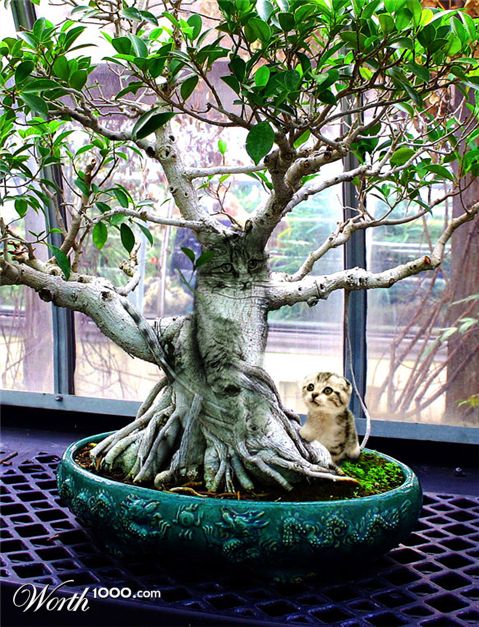 Photoshop Design by martysalgs