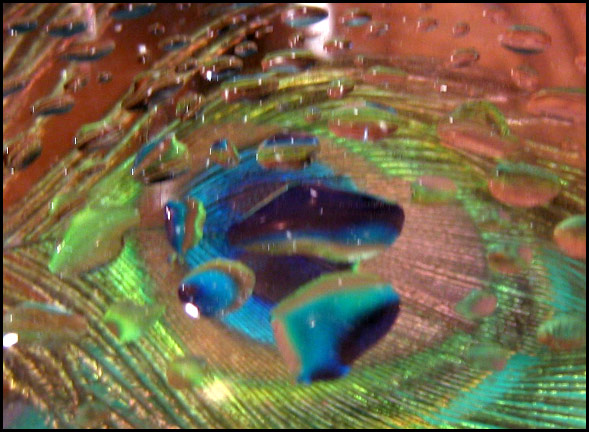 Photography by DoubleDizzle for DesignCrowd (Community Contests) | Design #9051966