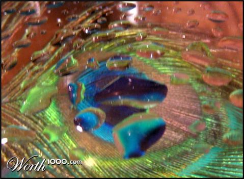 Photography by DoubleDizzle