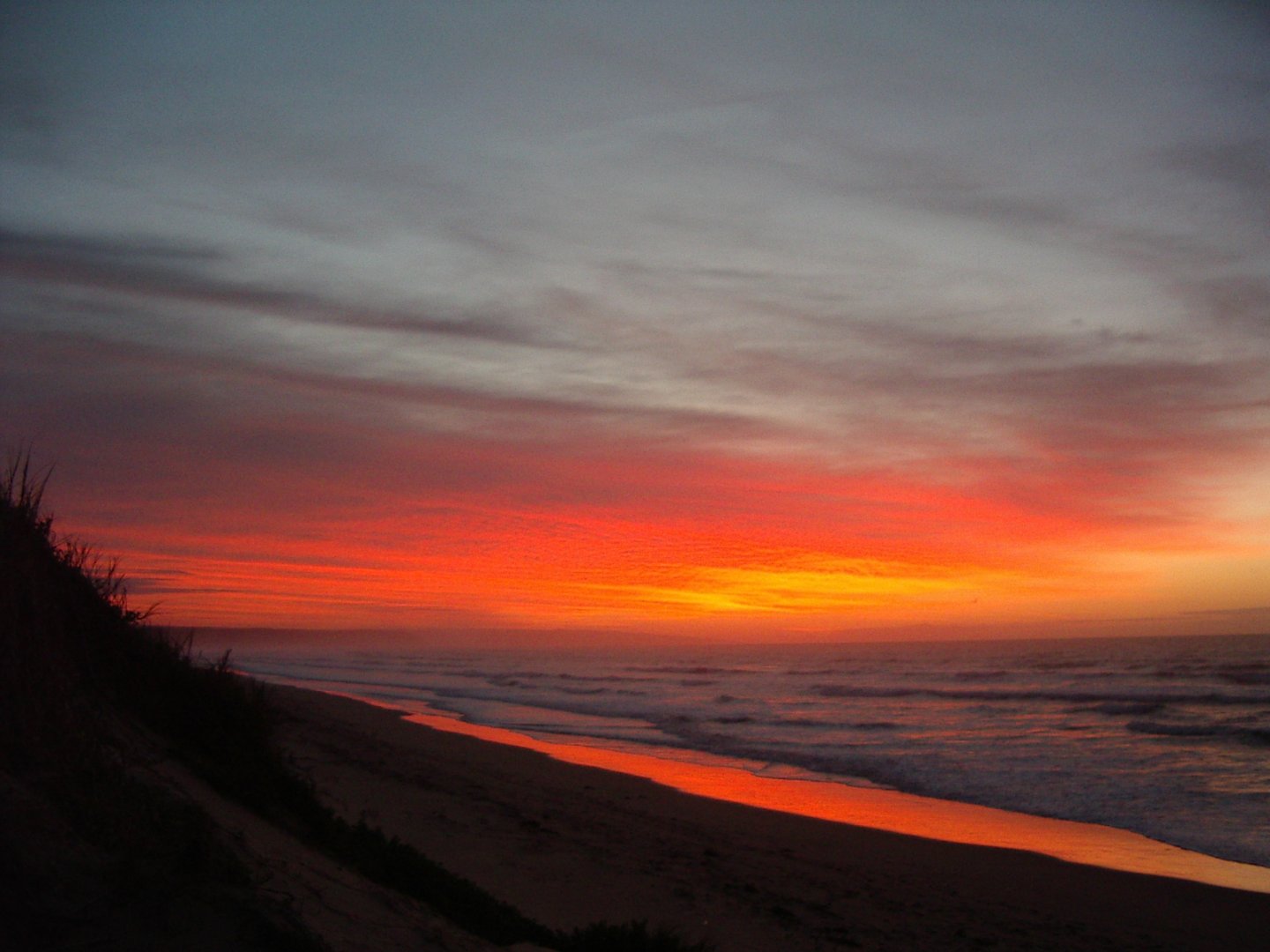 Photography by christelgrie for DesignCrowd (Community Contests) | Design #9060613