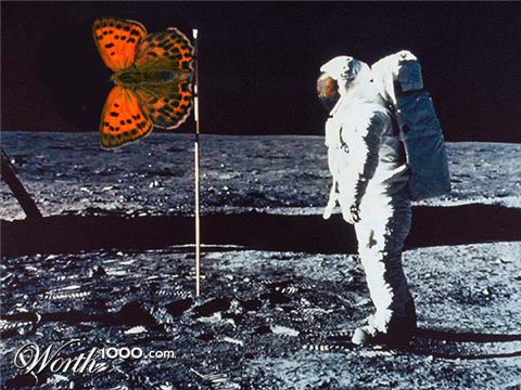 Photoshop Design by davfumes