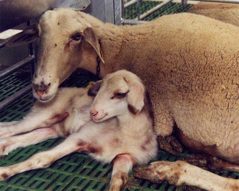 Fotografía por IsleofJura para DesignCrowd (Community Contests) | Diseño #9058082