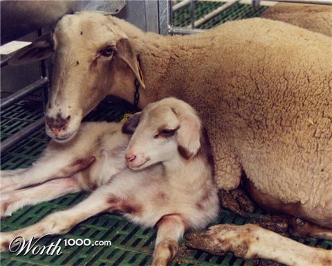 Photography by IsleofJura