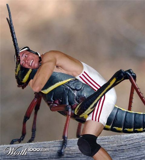 Photoshop Design by Nebraz