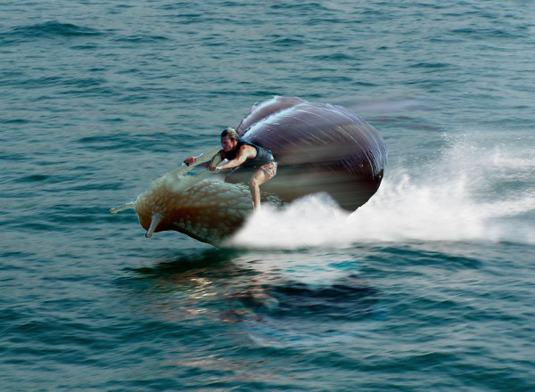 Diseño de Photoshop por ayoksus para DesignCrowd (Community Contests) | Diseño #9058841