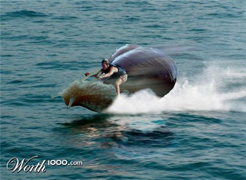 Photoshop Design by ayoksus