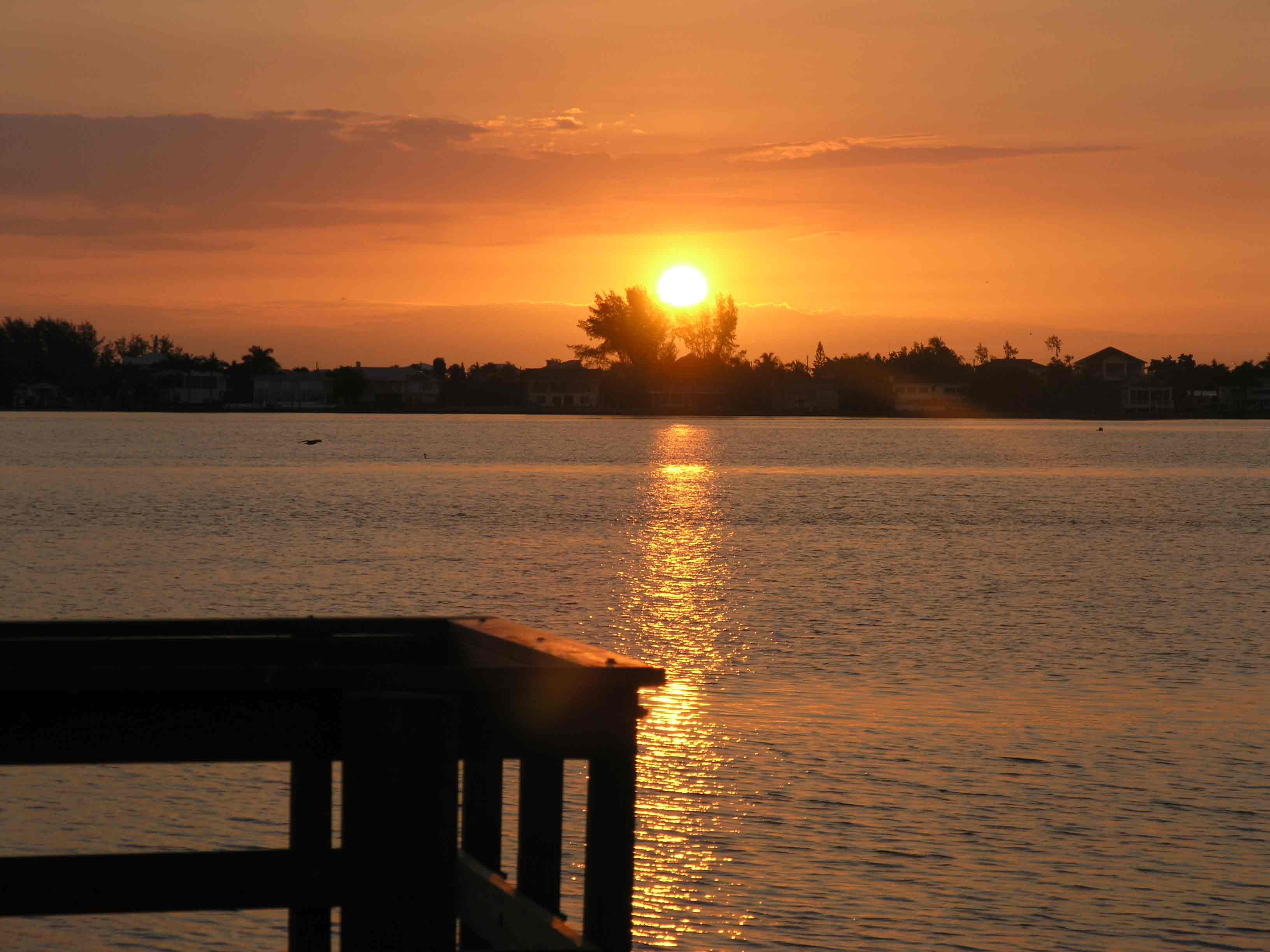 Fotografía por miarose59 para DesignCrowd (Community Contests) | Diseño #9060693