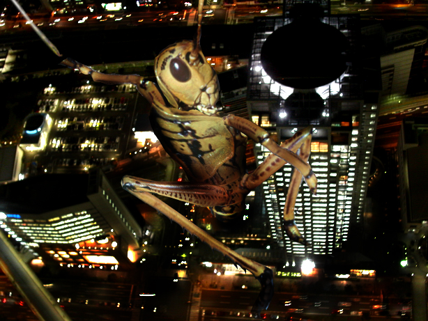 Photoshop Design by eclipsis for DesignCrowd (Community Contests) | Design #9058853