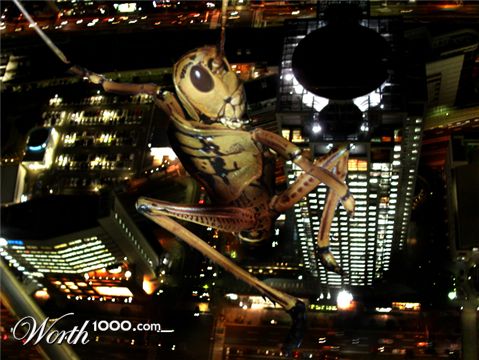 Photoshop Design by eclipsis