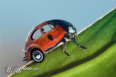 Photoshop Design by skyldpod