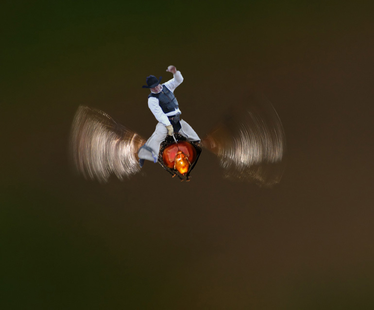 Photoshop Design by Nesten for DesignCrowd (Community Contests) | Design #9058934