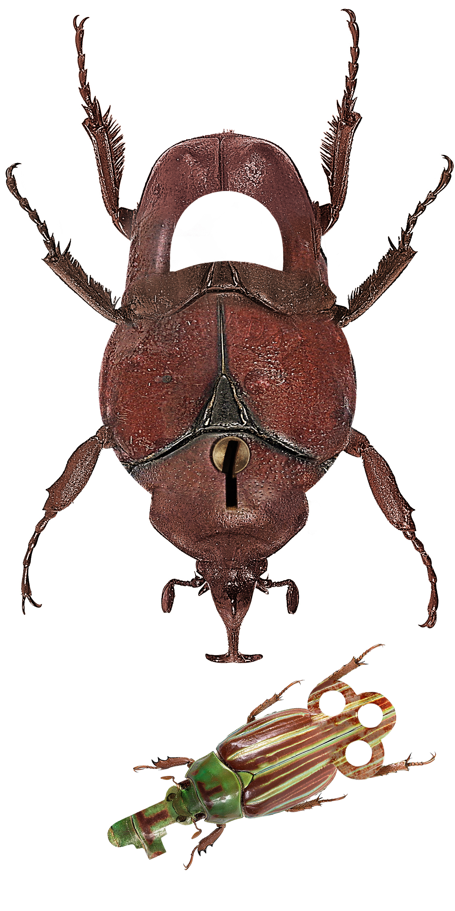 Design Photoshop par echoburst pour DesignCrowd (Community Contests) | Design #9058882