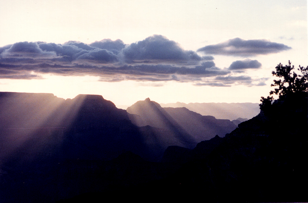 Photography by rml1963 for DesignCrowd (Community Contests) | Design #9060621