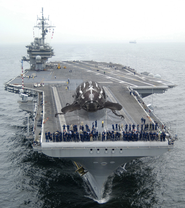 Design Photoshop par Ambulocetus pour DesignCrowd (Community Contests) | Design #9058978