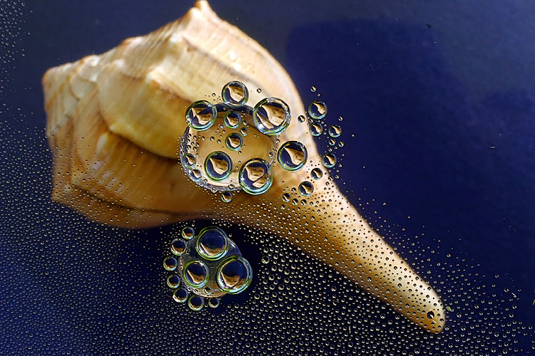 Fotografie von zsandra für DesignCrowd (Community Contests) | Design #9051999