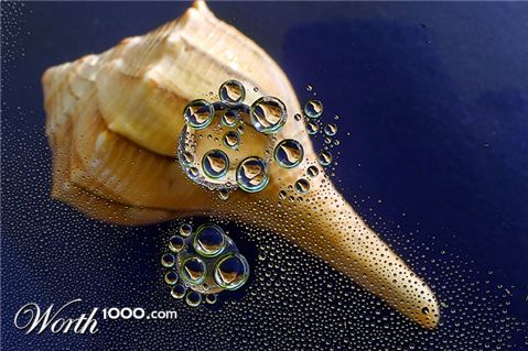 Photography by zsandra