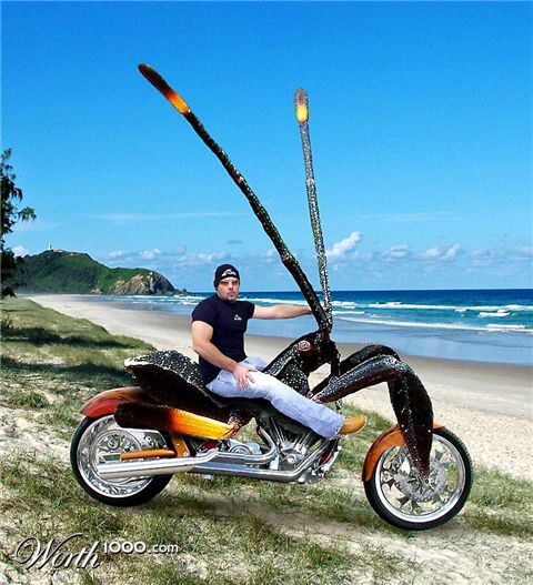 Photoshop Design by ozplasmic