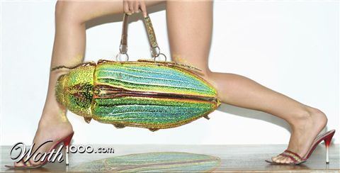 Photoshop Design by sugarcane