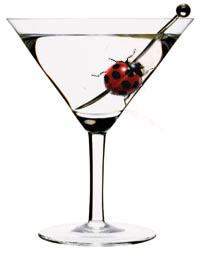 Photoshop Design by jessicagurl for DesignCrowd (Community Contests) | Design #9059099