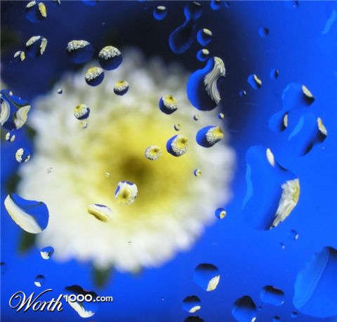 Photography by mzmzmzmz