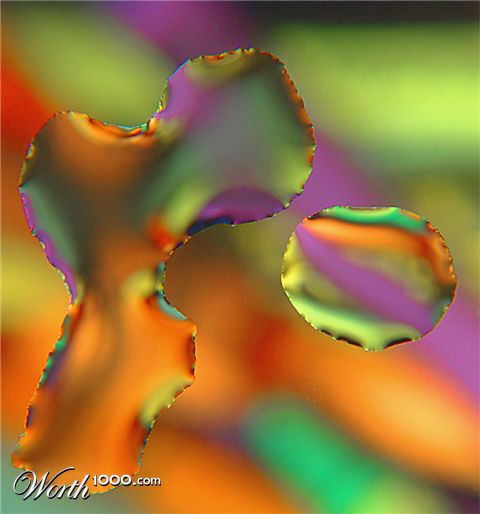 Photography by Dallas_TX