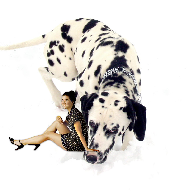 Design Photoshop par zeesamar pour DesignCrowd (Community Contests) | Design #9069205