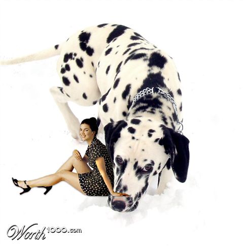 Photoshop Design by zeesamar