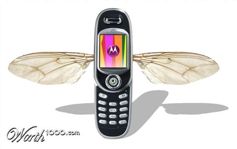 Photoshop Design by bottler