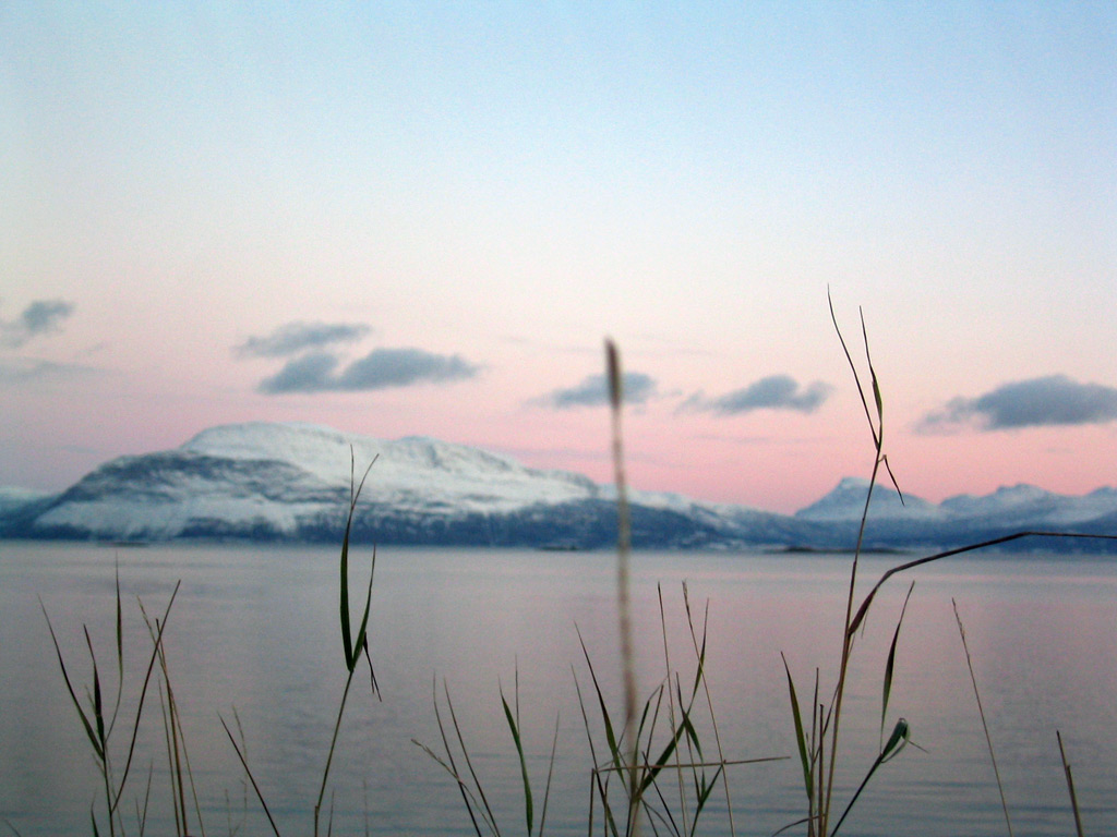 Photography by cstoel for DesignCrowd (Community Contests) | Design #9060663