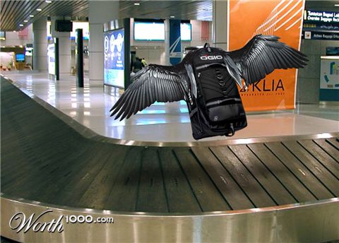 Photoshop Design by snowgoose